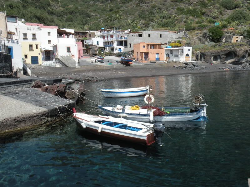 DSCN8133.jpg