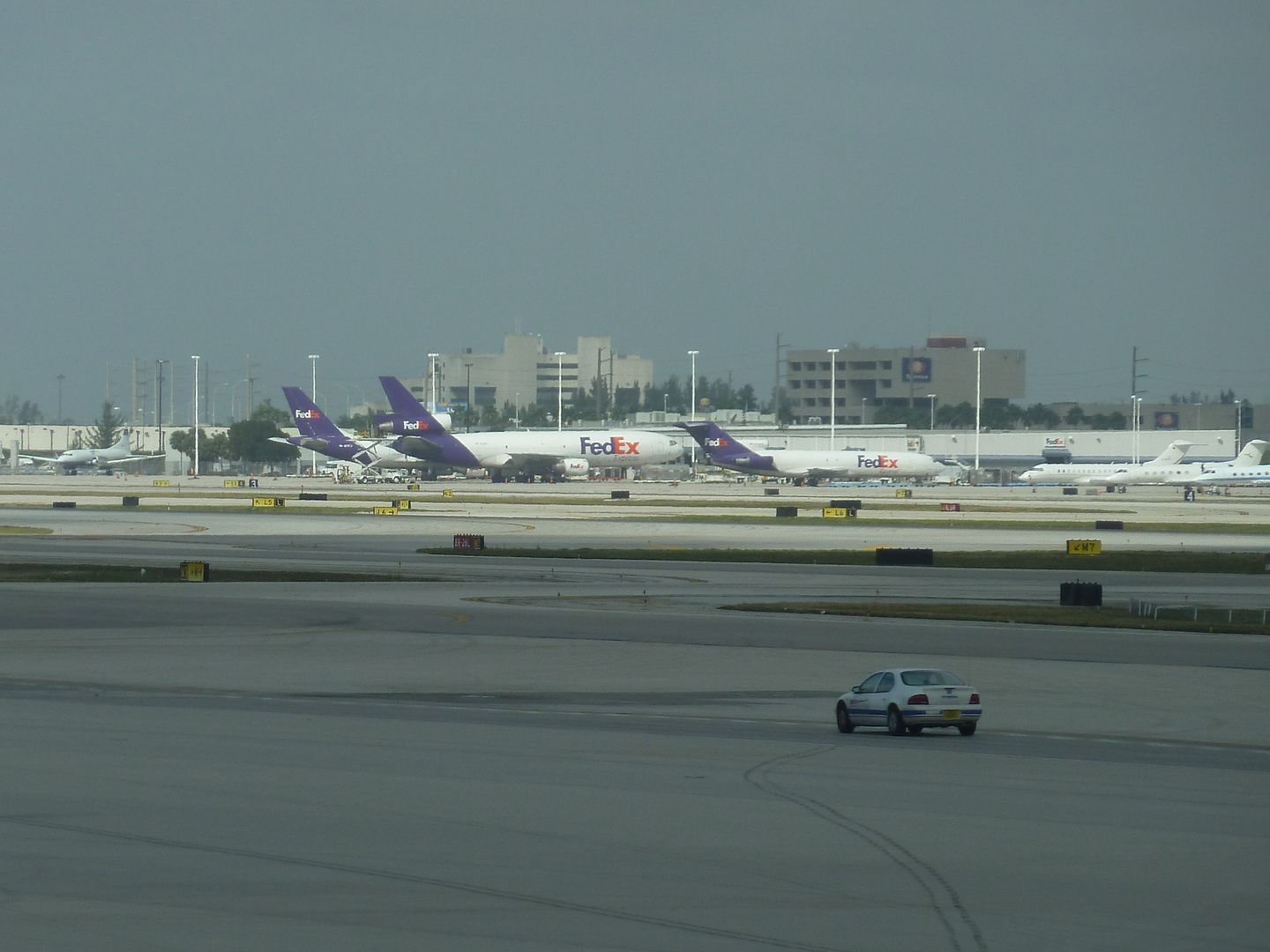 P1010882.jpg