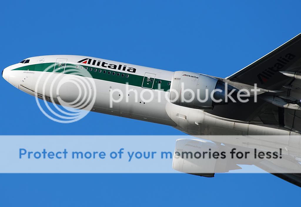 EI-DBMmuso2.jpg