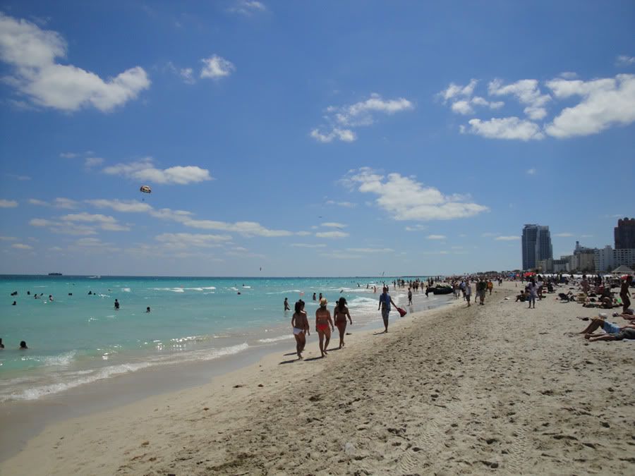 DSC00664.jpg