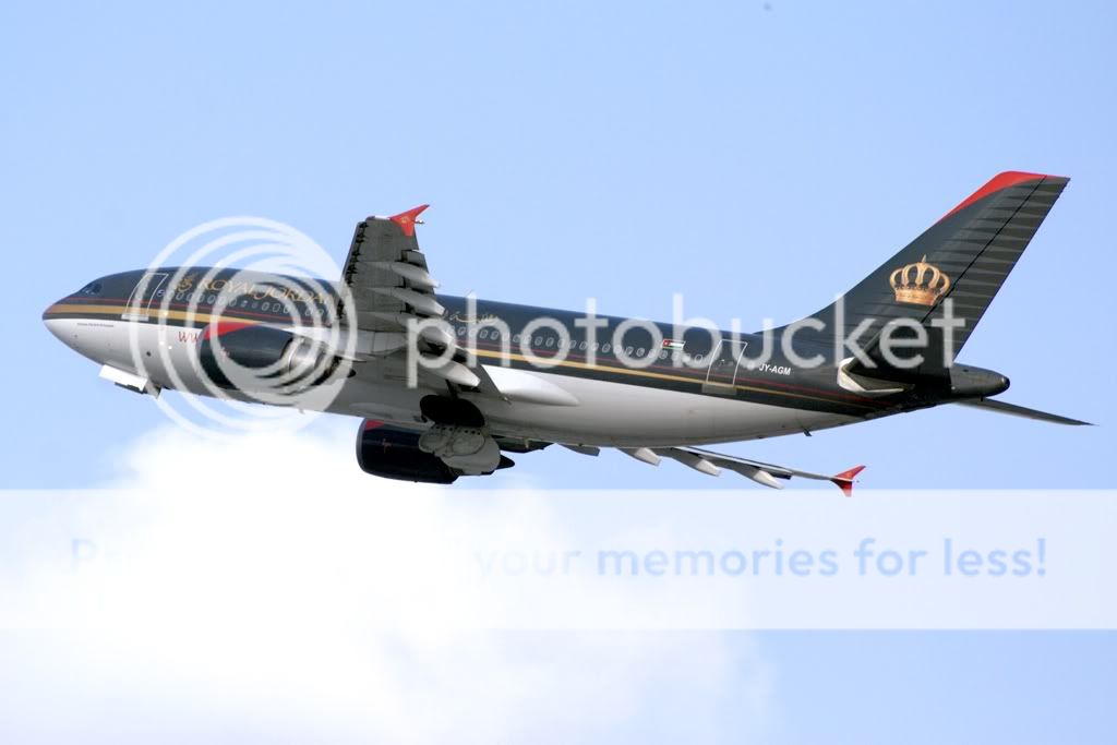 DSC_0181.jpg