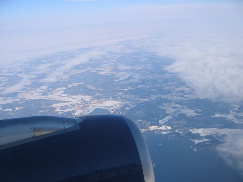 fin015.jpg