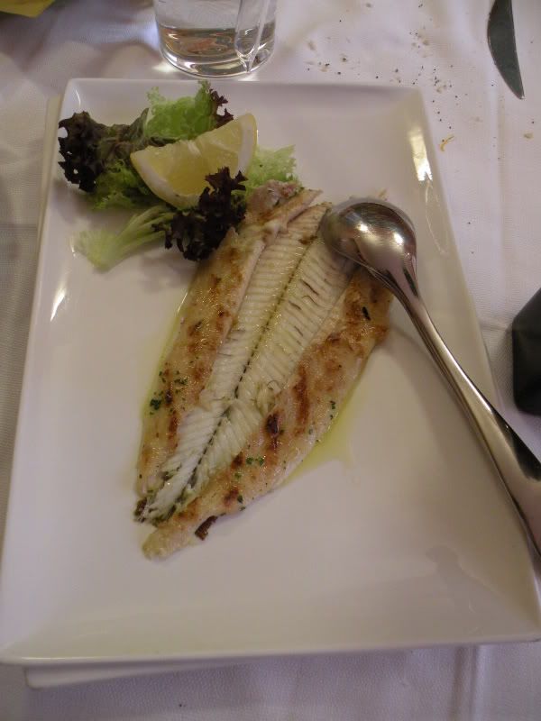 DSCN8807.jpg