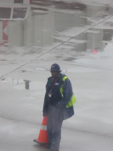 P1020141-1.jpg