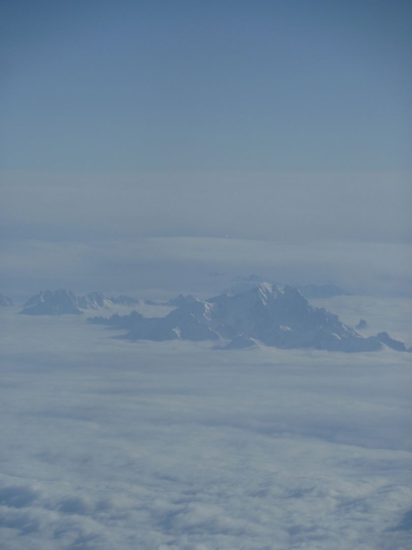 P1020397.jpg