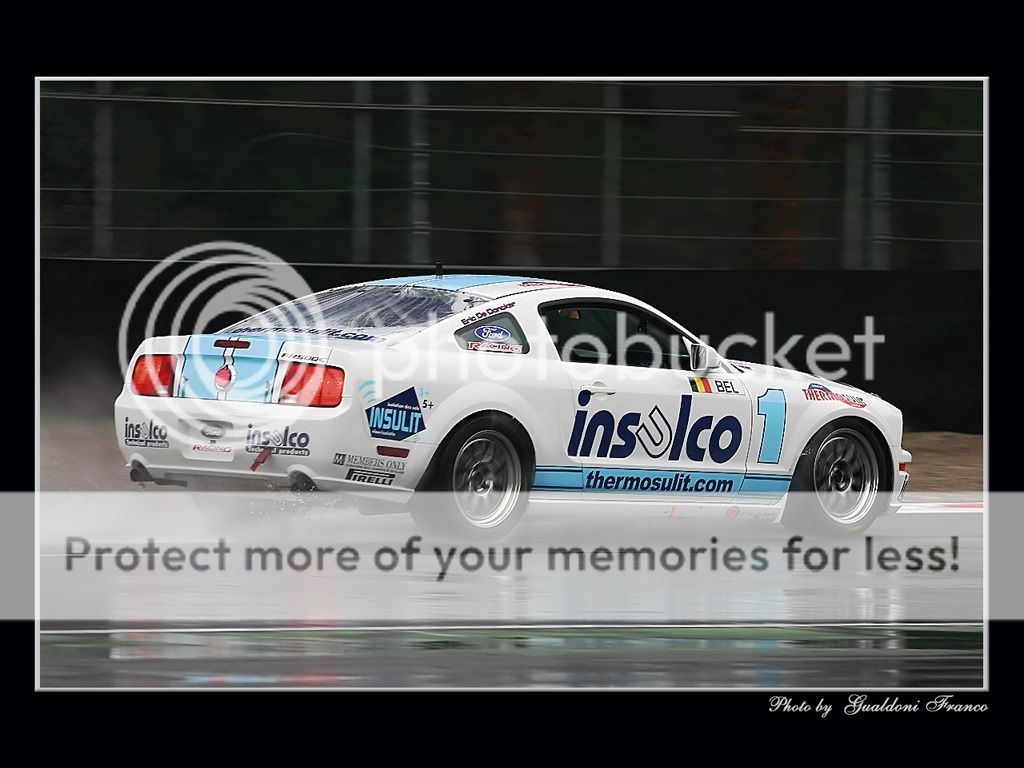 FIA-GT-08.jpg