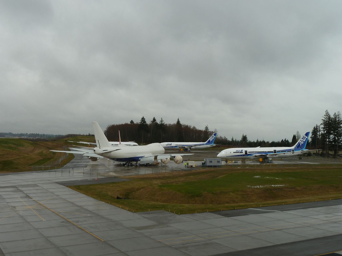 P1020177.jpg