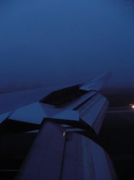 P1010788-1.jpg