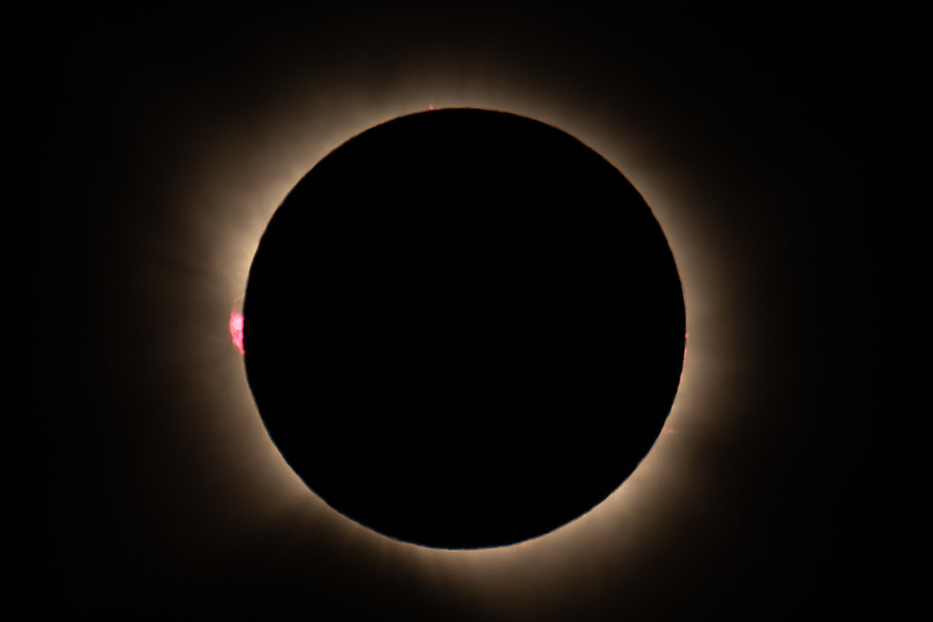 55467291131_ff55c2d618_b.jpg