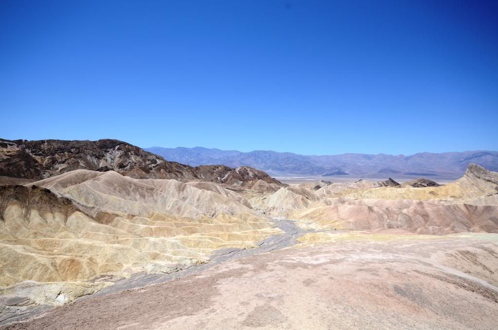 DSC_0970.jpg