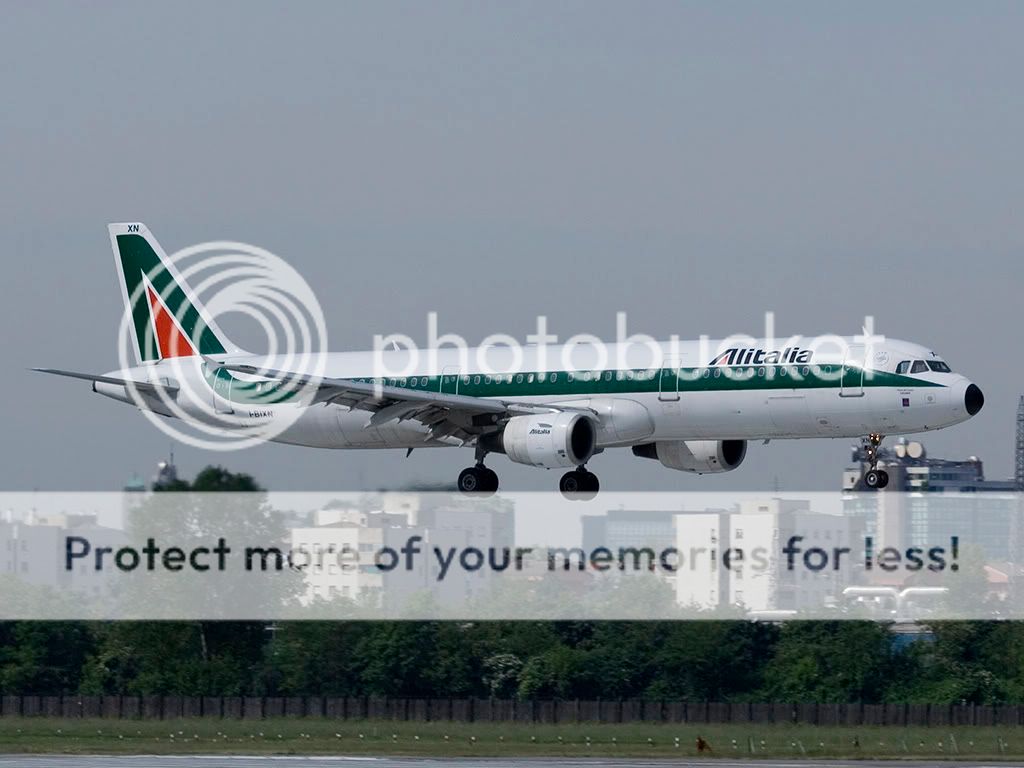 lin1305085.jpg