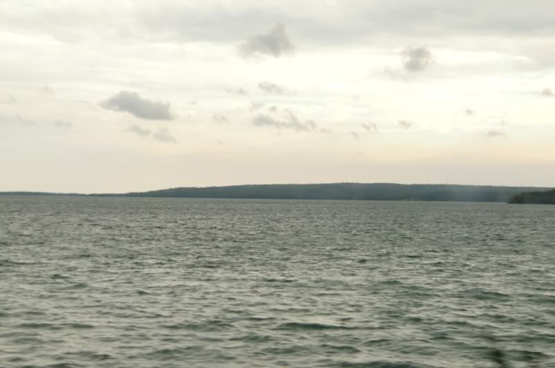 113.jpg