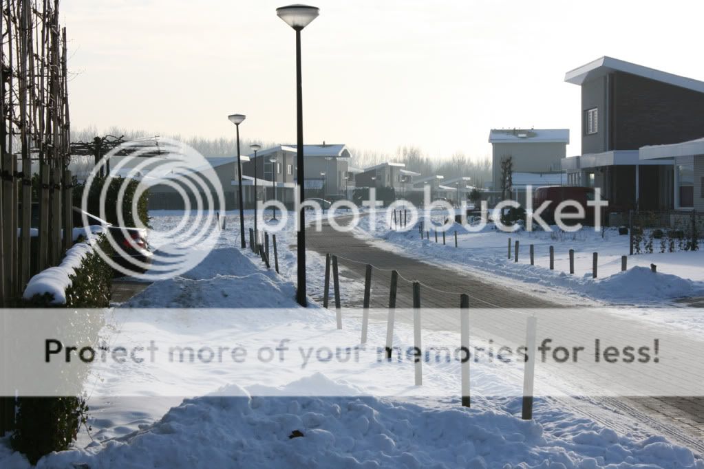 IMG_8705.jpg