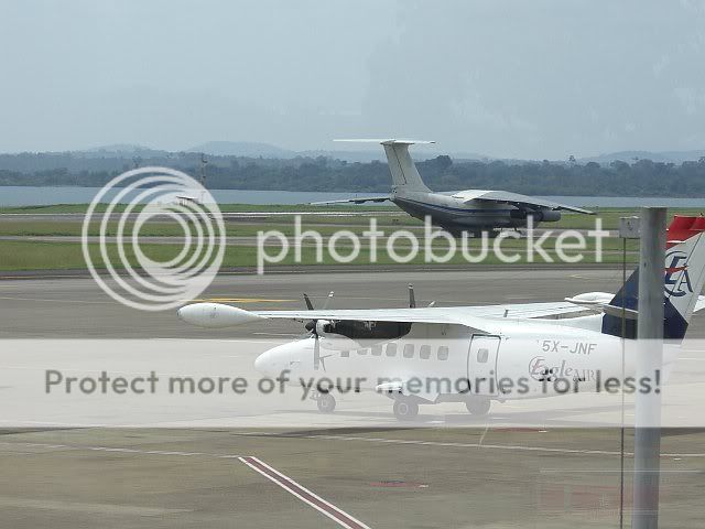 CIMG3278-1.jpg