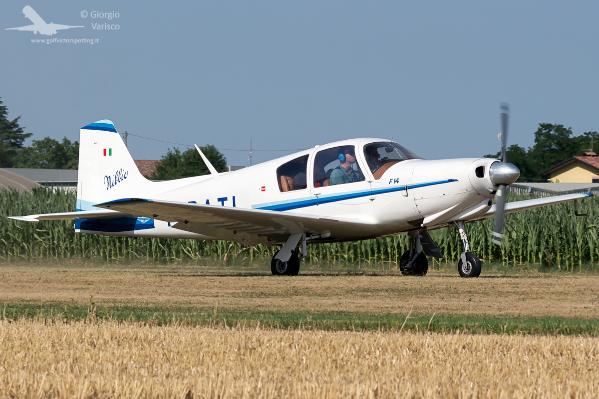 _MG_3163_260622.jpg