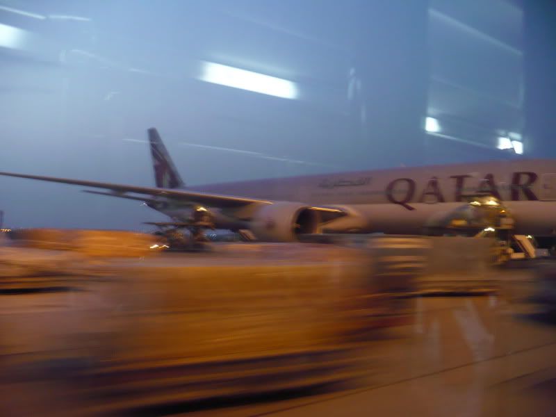 P1020143.jpg