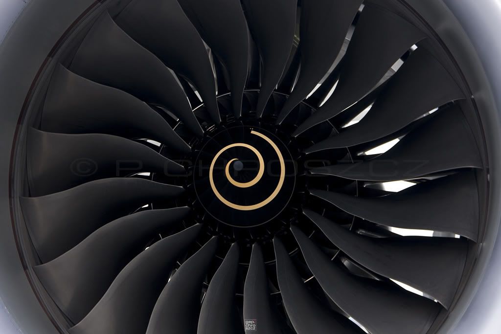 787_Fan1BS.jpg