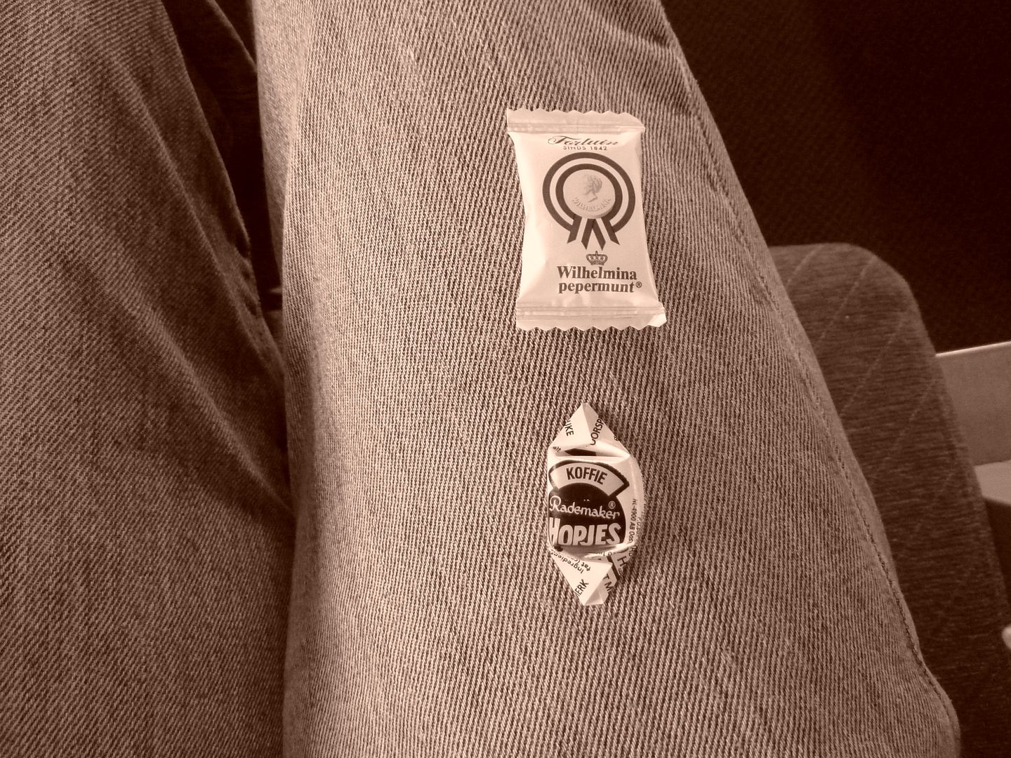 P1040033.jpg