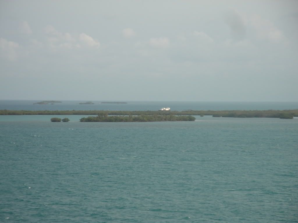 DSC05745.jpg