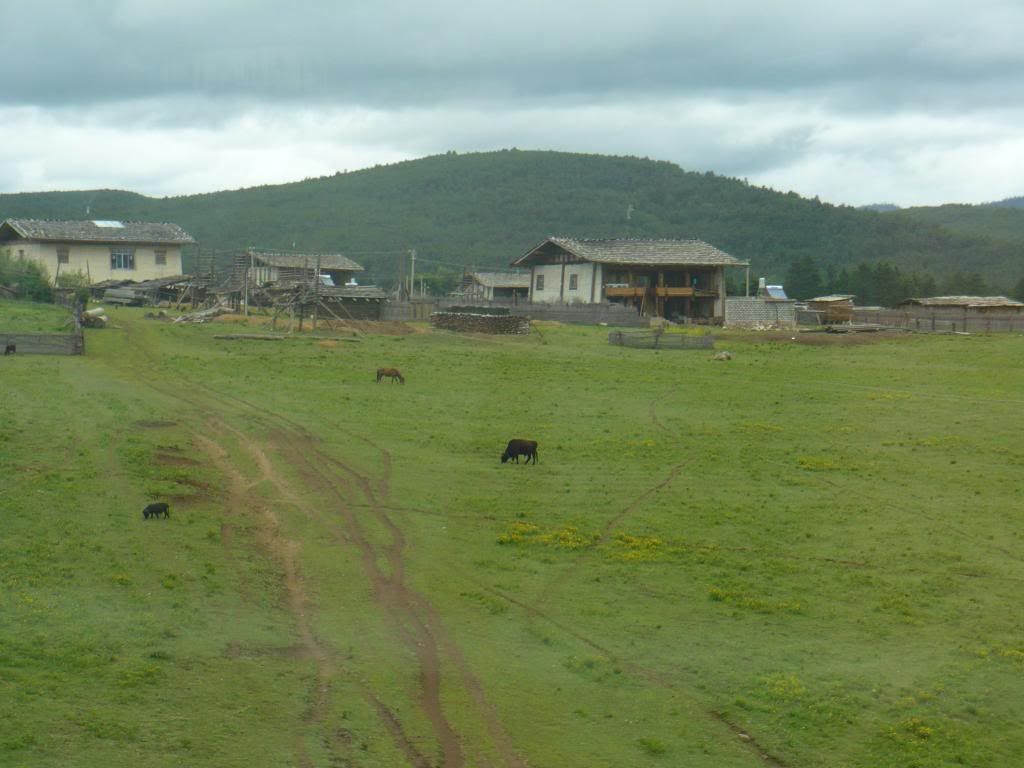 P1010166.jpg