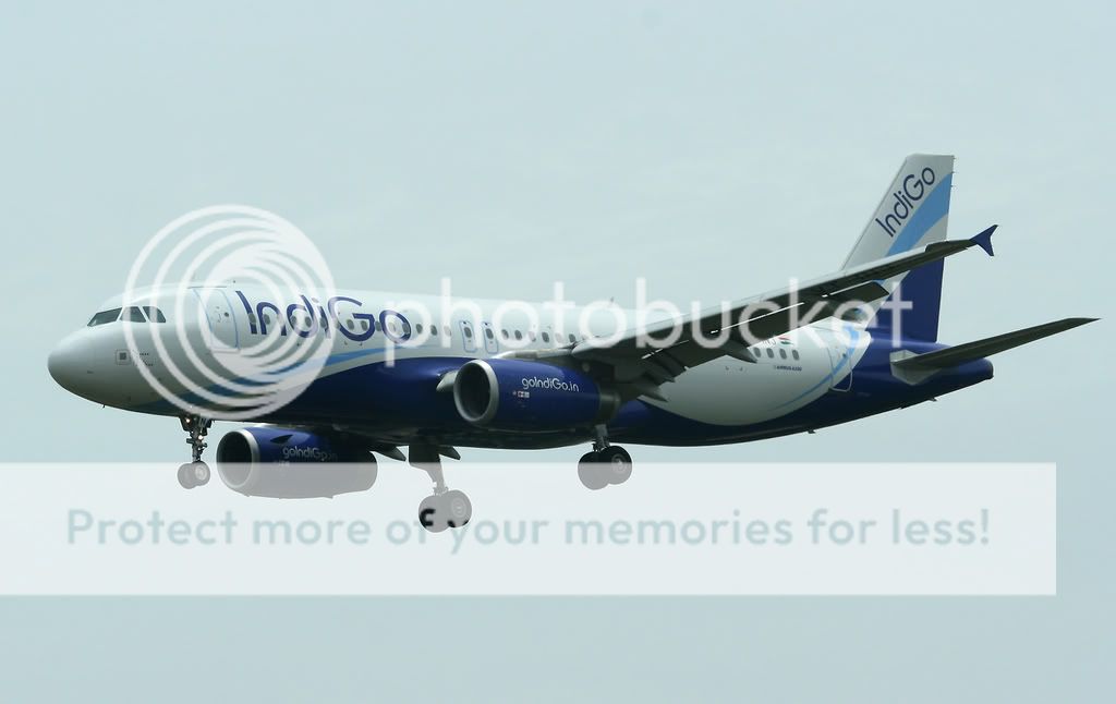 002-INDIGO-VT-INJ-A3201.jpg
