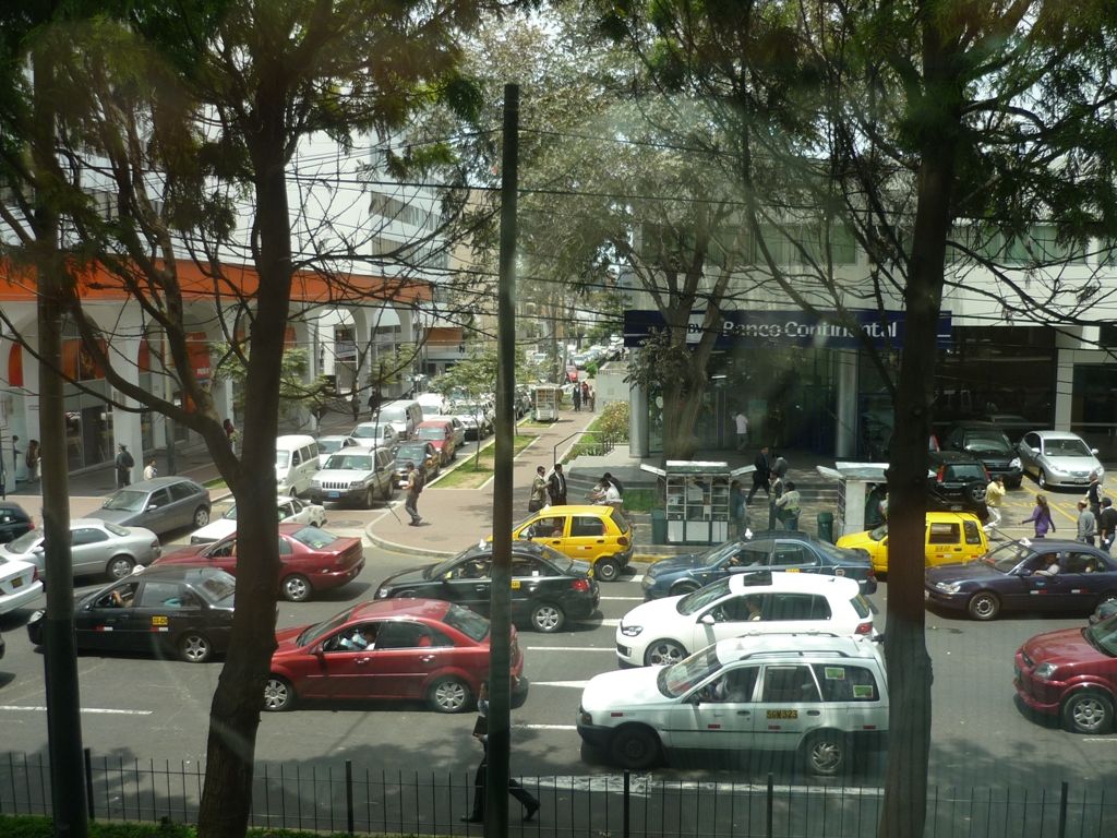 P1010490.jpg