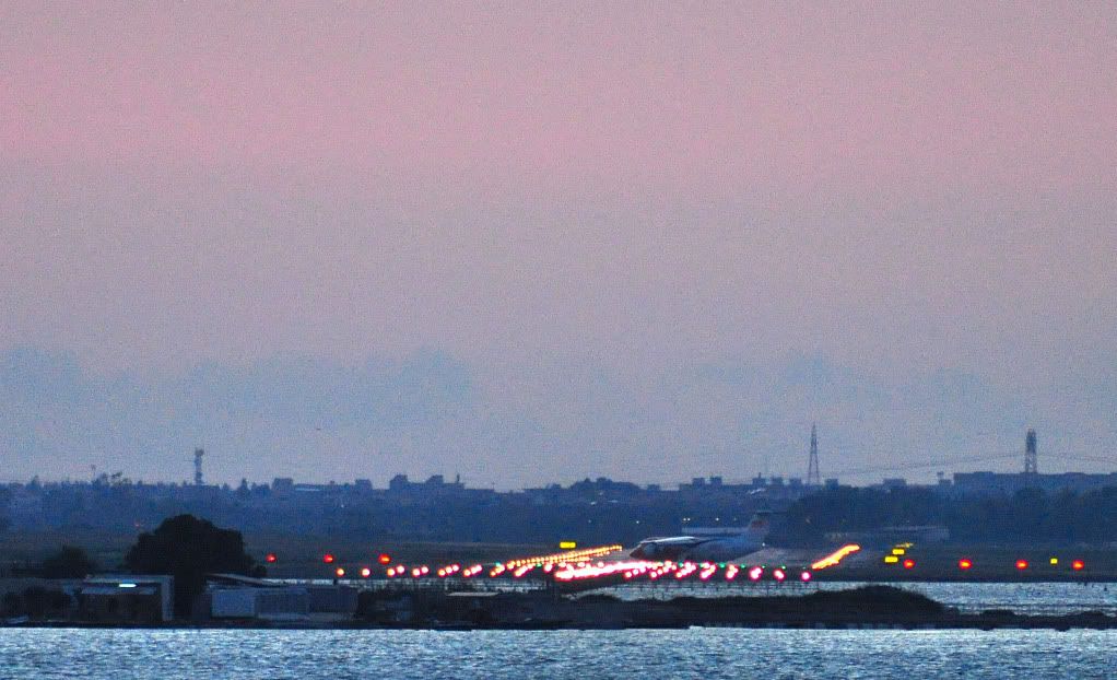 DSC_0329.jpg