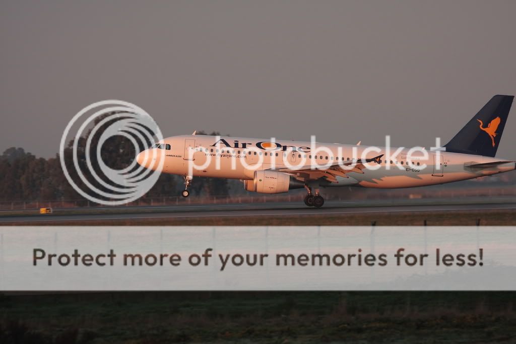 IMG_9534.jpg