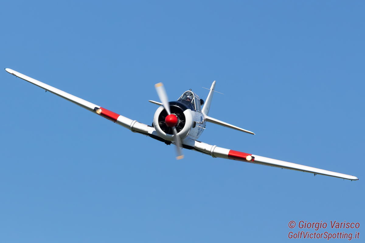 _MG_7413_290625.jpg
