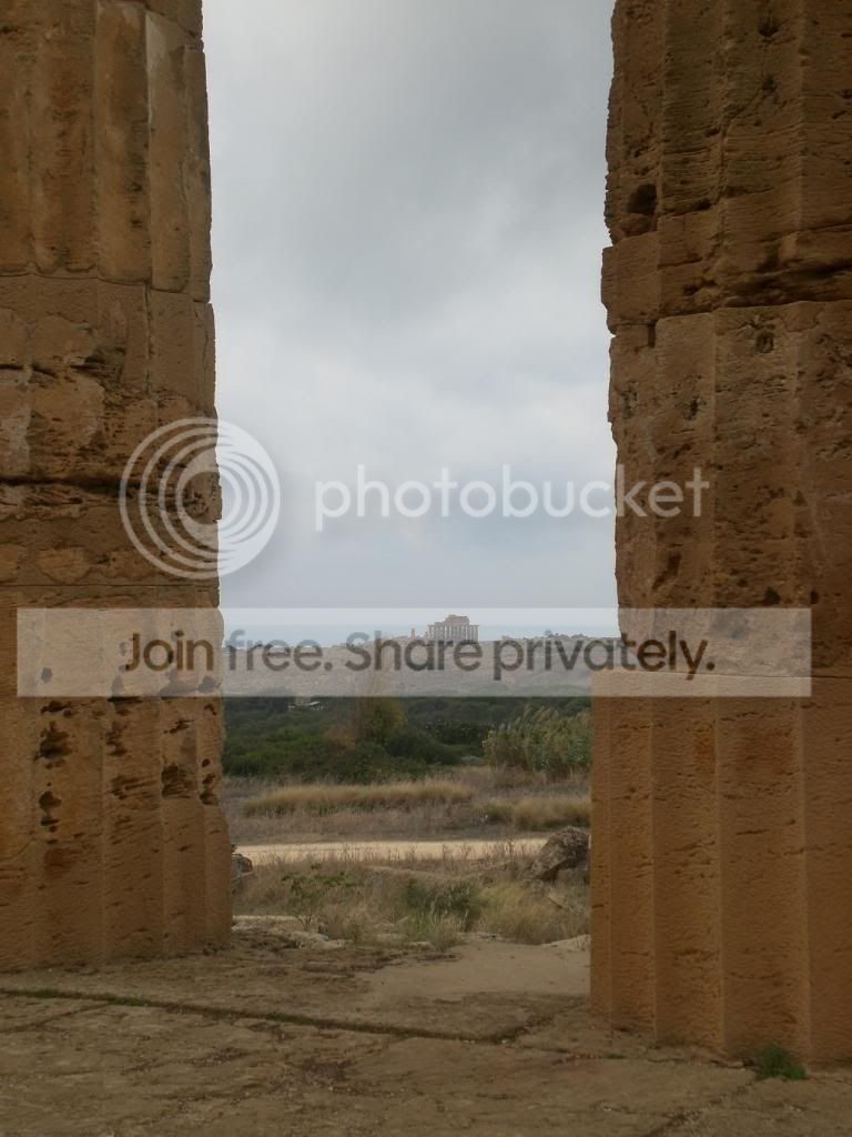resized_Trapani289.jpg