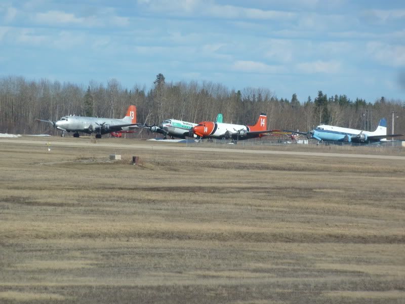 P1170160.jpg