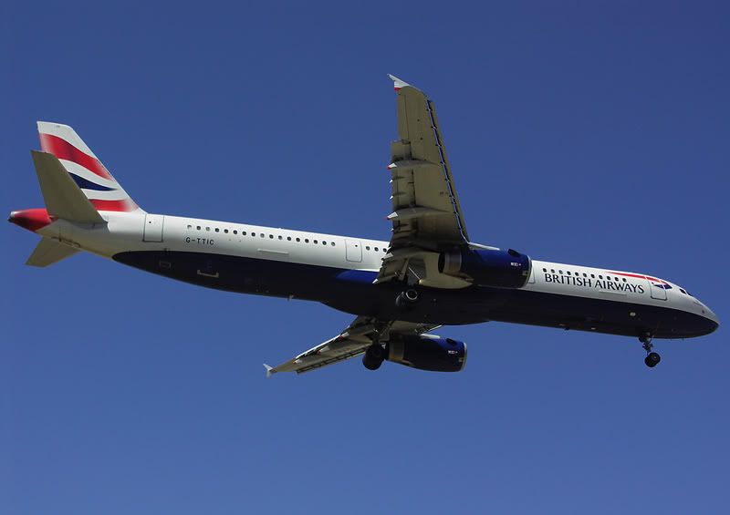 G-TTICagp.jpg