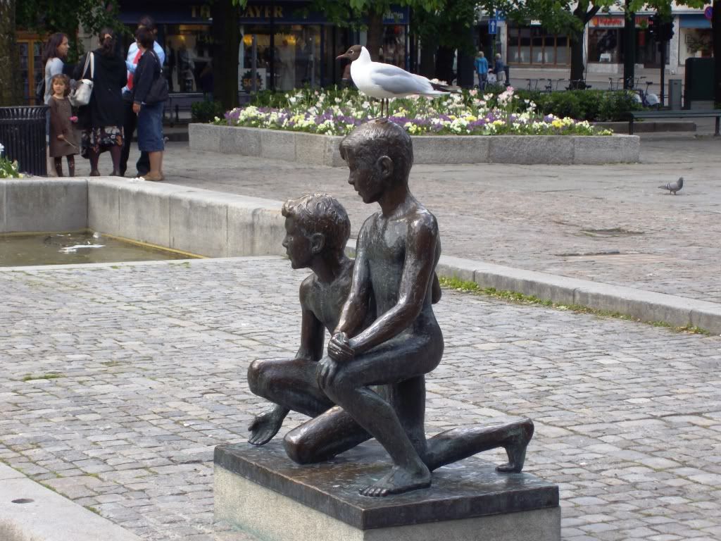 IMGP2754.jpg