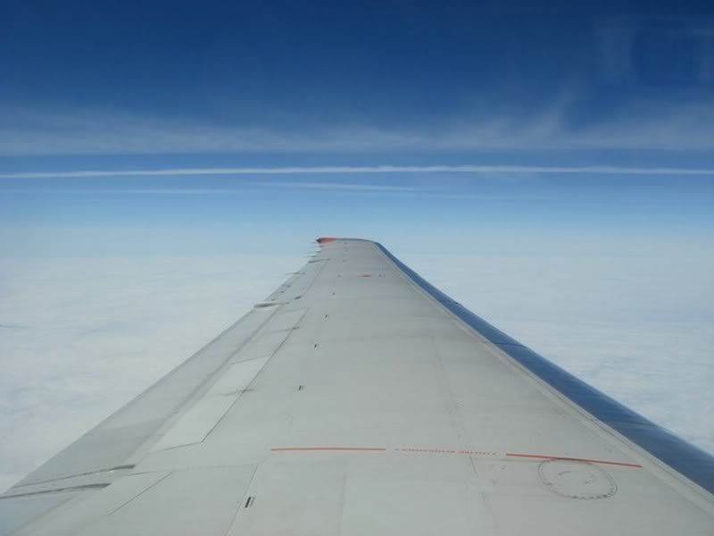 DSC01361.jpg