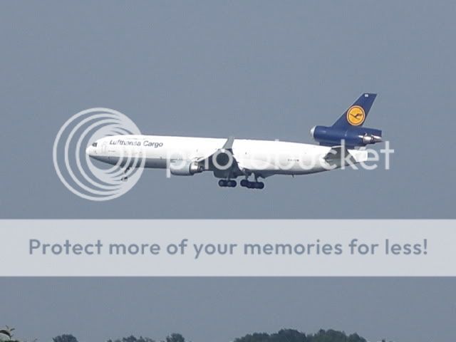CIMG0617.jpg