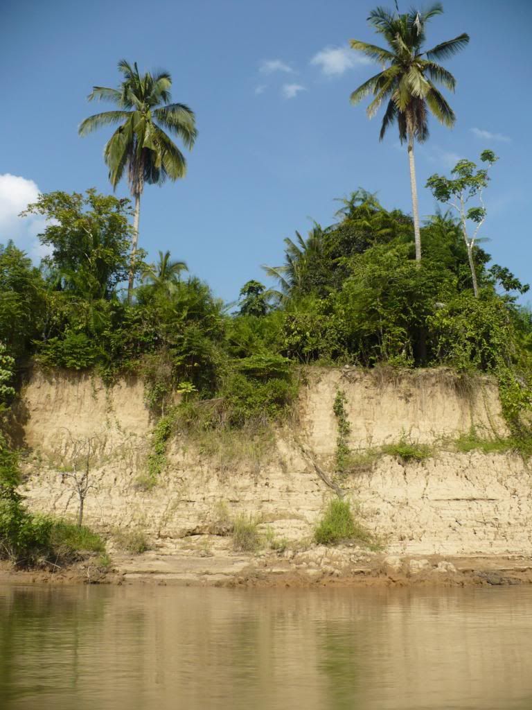 IMG477.jpg