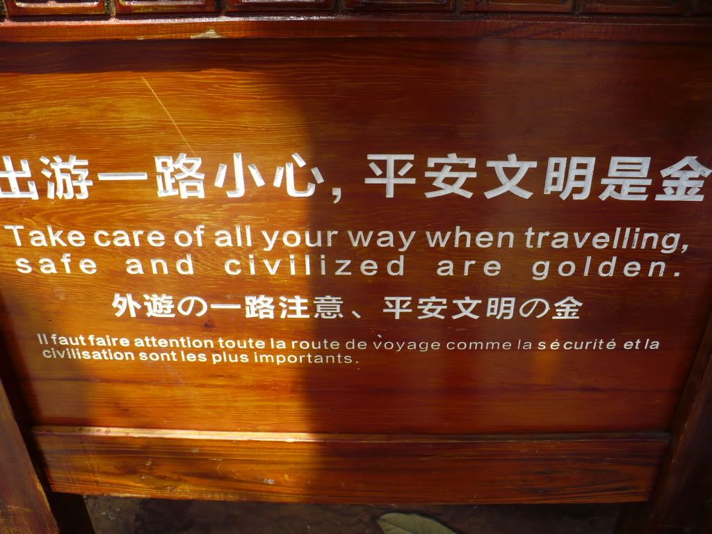 P1010023.jpg