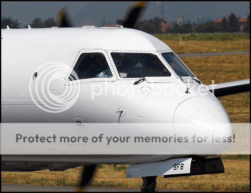 095_MOLDAVIAN__jf.jpg