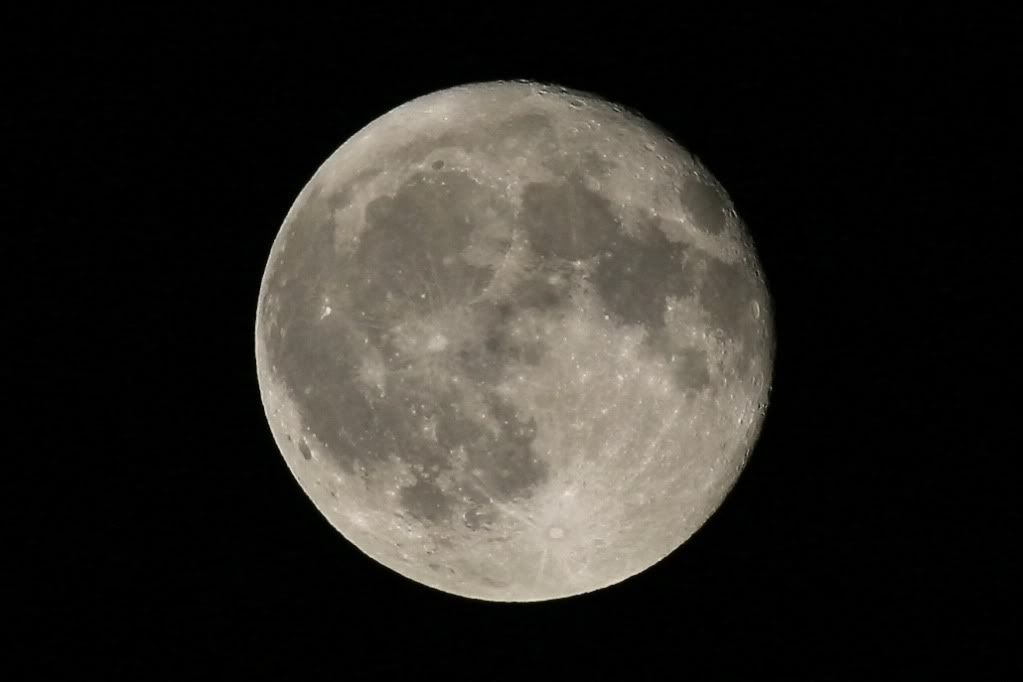 luna-1.jpg