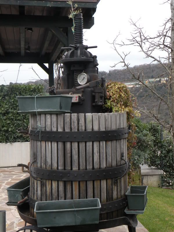 DSCN4517.jpg