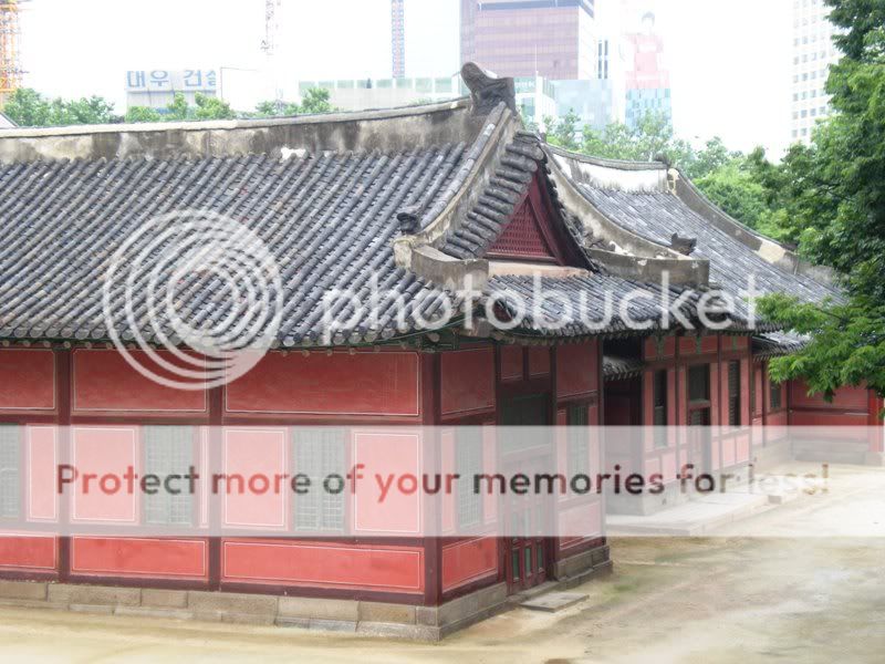 DSCN2706.jpg