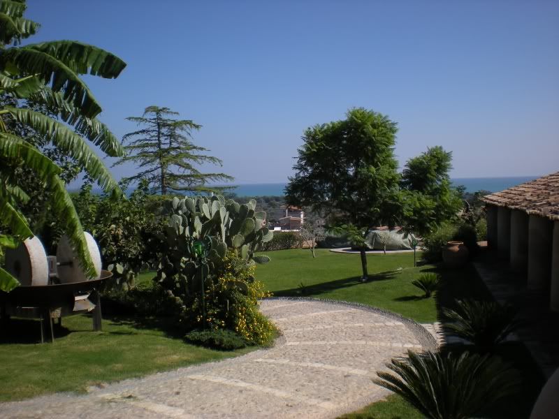 DSCN5547.jpg