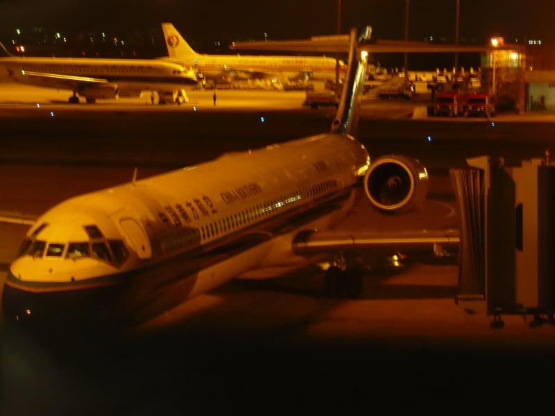 P1000637.jpg
