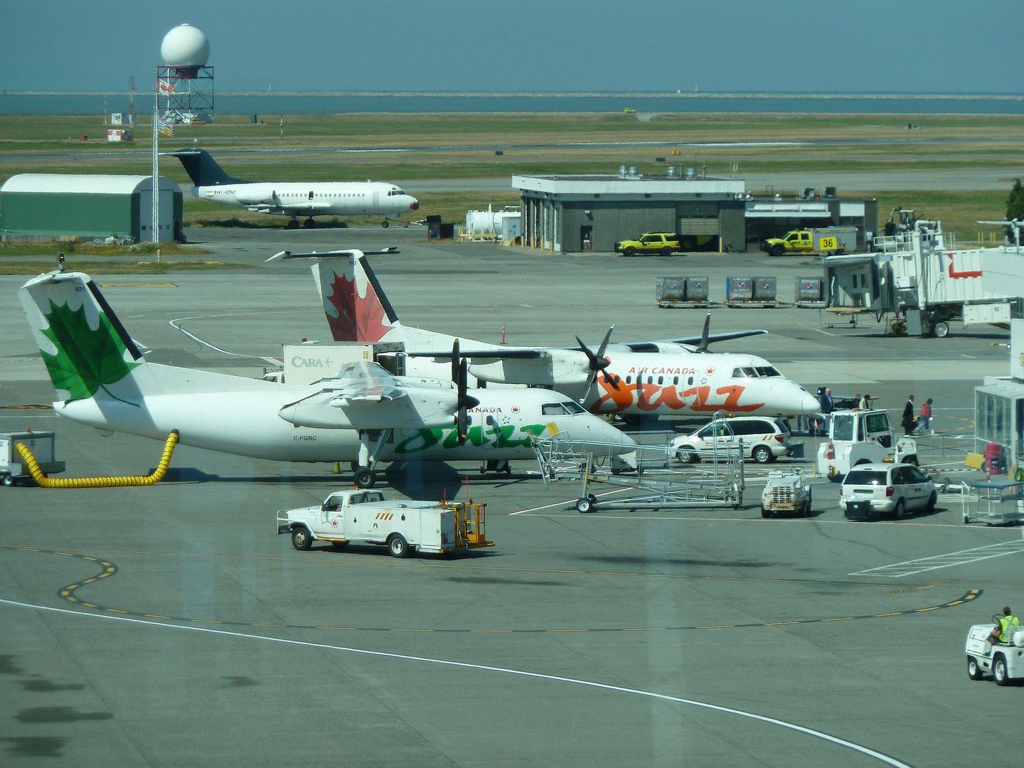 P1010450.jpg
