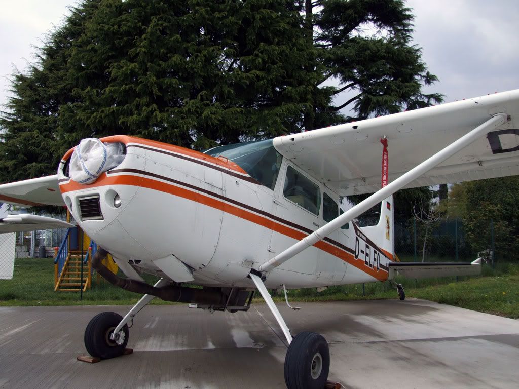 DSCF0260.jpg