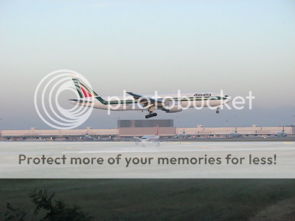 EI-DBMAlex.jpg