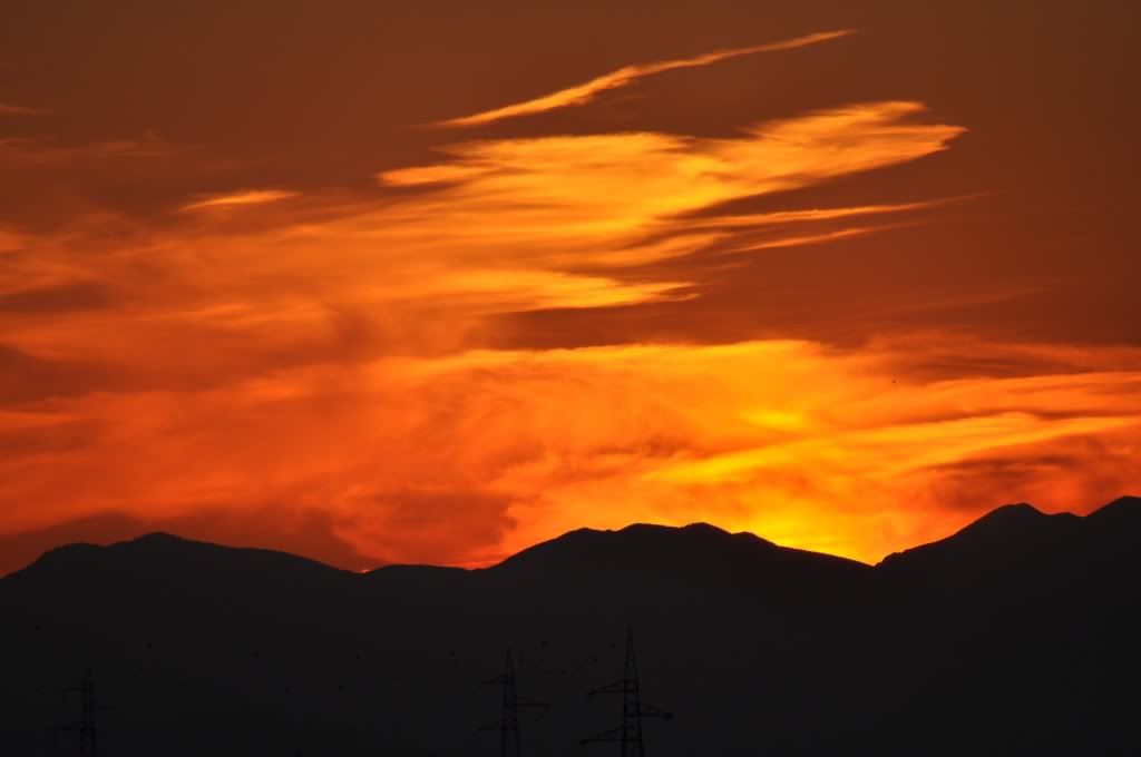 DSC_0241-1.jpg