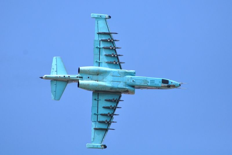 DSC_3113_zpsa7bx8y08.jpg