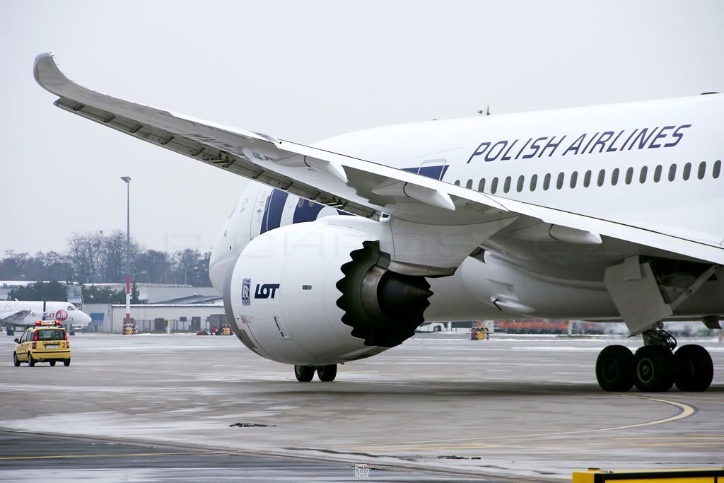 787_DEP_FlgelBS.jpg