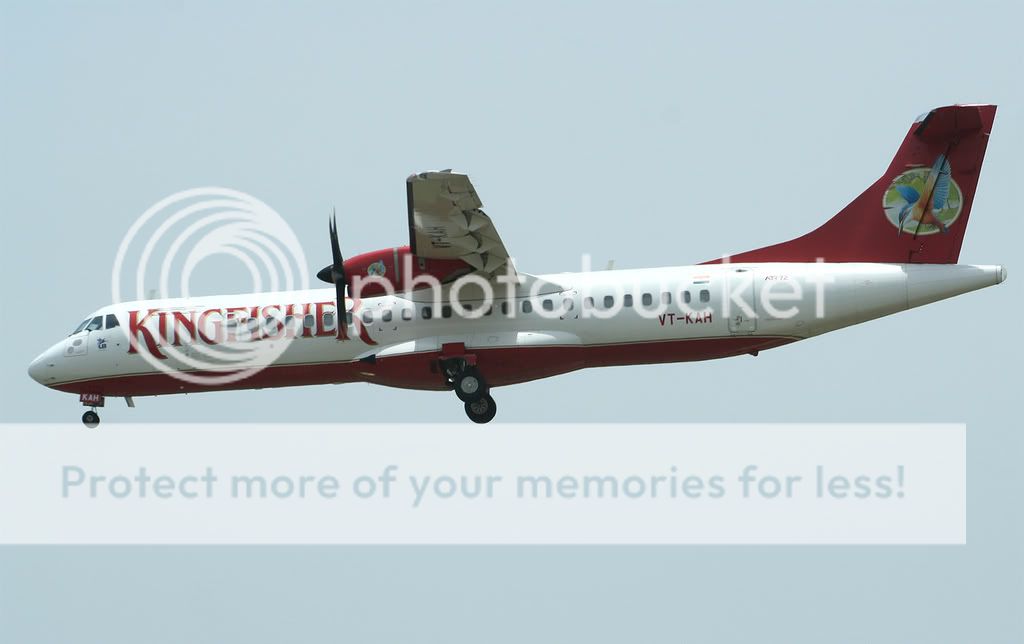 010-KINGFISHER-VY-KAH-ATR722.jpg